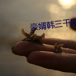 豪婿韓三千剛剛更新最新章節