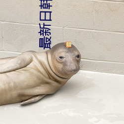 最新日韓歐美不卡一二三區
