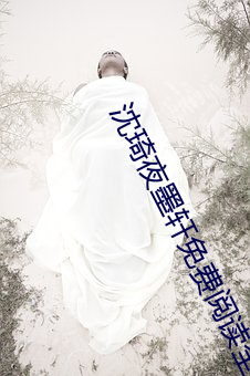 沈琦夜墨轩免费阅读全文免费阅读
