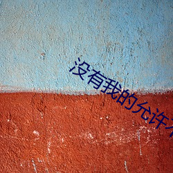 没有我(我)的允(允)许(許)不(不)许把它拿出