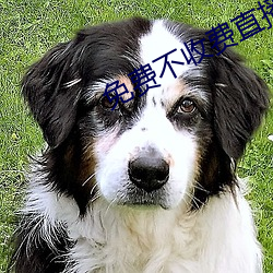 免(免)费不收(收)费直(直)播软(軟)件