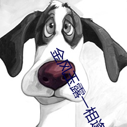 金风玉露一相逢