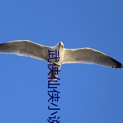 武侠(俠)仙侠小说