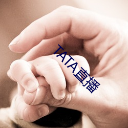 TATA直播