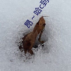 Kaiyun体育网站：昂～哈c到高c了求求了哈昂～哈昂够了太多太深(图3)