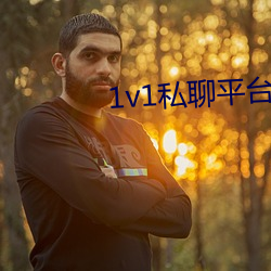 1v1私聊平(平)台