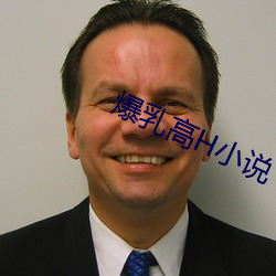 爆乳高H小說
