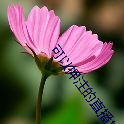 尊龙凯时-人生就是搏!