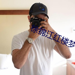 徐锦江红楼梦 （无谓）