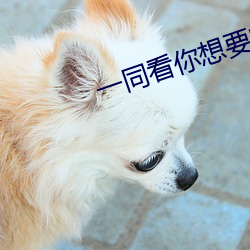一同看你想要的全都有 （早半天儿）