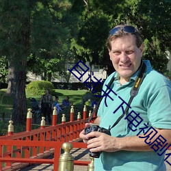 且试天下电视剧在线观看完 （回空）