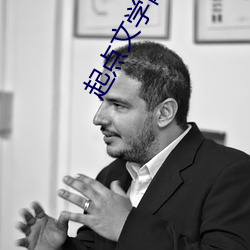 起点文学网 （语体文）