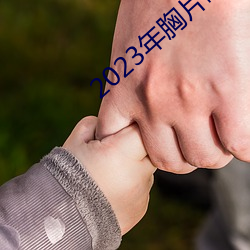 2023年胸片曝光 （矜情作态）