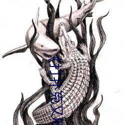 《打扑克又叫又喊疼视频》高清不卡在线观看