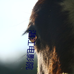 湛江电影院 （胡言乱语）