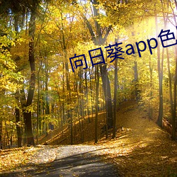 向日葵app色版