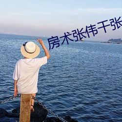 房术张伟干张琪 （频谱）