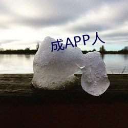 成APP人