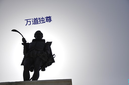 万道独(dú)尊