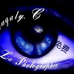 成a人(rén)片免费