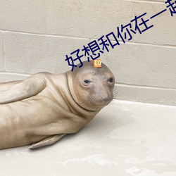 好想(想)和(和)你(你)在一起全集免费下(下)