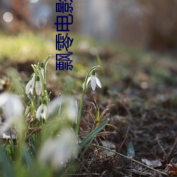凯时|AG(AsiaGaming)优质运营商