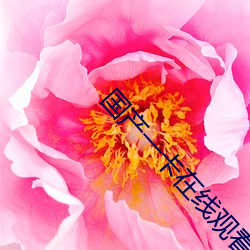 国产(産)一卡在(在)线(線)观看完整版(版)