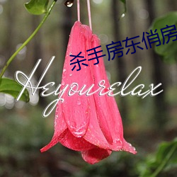 杀手房(房)东俏房客(客)