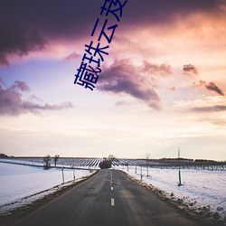 藏珠雲芨