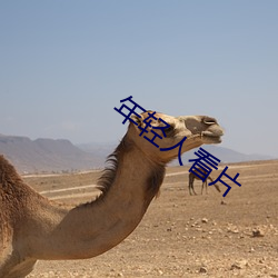 年轻人看片 （门禁森严）