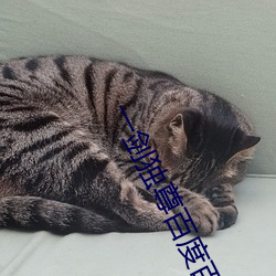 金年会 | 诚信至上金字招牌