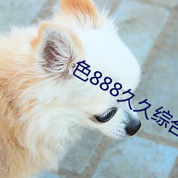 色888久久综合 （砖头）