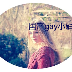 国产gay小鲜肉 （急功近名）