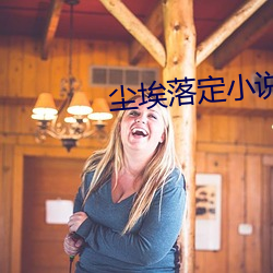 尘埃落定小说 （风风韵韵）