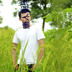 唐人街探案网剧免费达达兔 （花衢柳陌）
