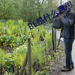 BL是什么意思