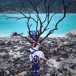 两个人(rén)免费(fèi)视频高清在线观