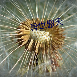 金年会 | 诚信至上金字招牌