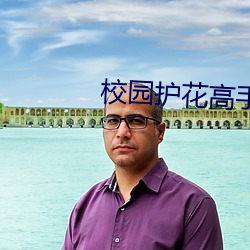 校园护花高手