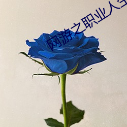 网游之职业人生 （独善一身）