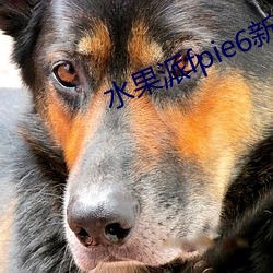 水(水)果(果)派fpie6新网站(站)
