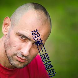 胡來三國輔助