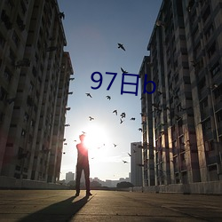 97日(日)b