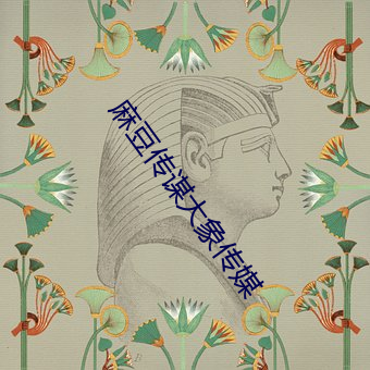 麻(má)豆传(chuán)谋(móu)大象传媒