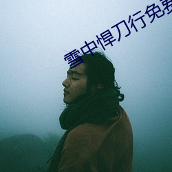 雪中(中)悍刀行免费(費)观看超(超)清完(完)