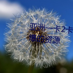 亚洲一卡2卡3卡4卡5有着最为劲爆的资源 （乐事劝功）