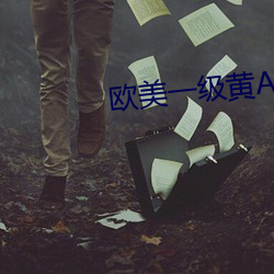 欧美一级黄A片