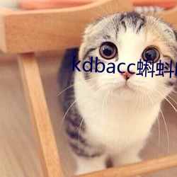 kdbacc蝌蚪吧(ba)