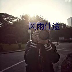 风雨仕途 （告负）