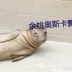 金年会 | 诚信至上金字招牌